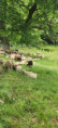/album/saint-sylvestre-jeudi-5-juin-13-h/img-20250605-wa0006-1-jpg/